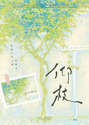 奶油味暗恋讲的什么