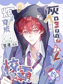 相逢不恨晚免费阅读