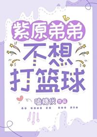 成为雍正妹妹之后晋江文学城