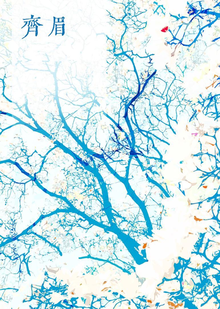 顾莲宅斗日记txt