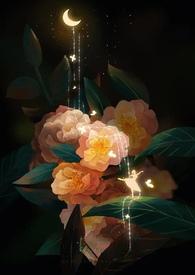 任务又失败了免费阅读